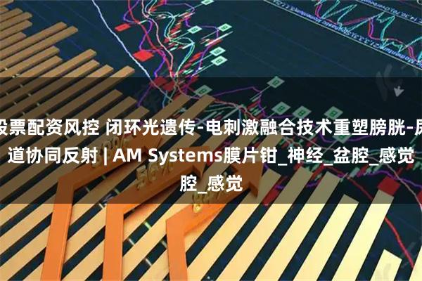 股票配资风控 闭环光遗传-电刺激融合技术重塑膀胱-尿道协同反射 | AM Systems膜片钳_神经_盆腔_感觉